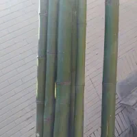 فروش چوب پرچم