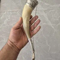 جام شاخ دو سرنقره