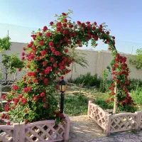 ویلا-1000-متر-در-برزش-اباد