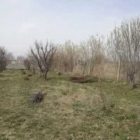 باغچه/جاده اباجالو