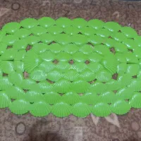 پا دری نو صدفی