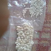 سنگ|جواهرات|شیراز, بعثت|دیوار
