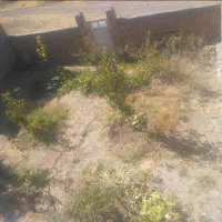 زمین چهاردیواری