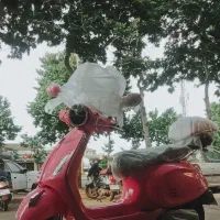 نیکتاز  ۱۶۰ اتومات صورتی مدل ۱۴۰۵