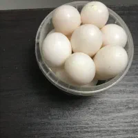 تخم تازه کبوتر