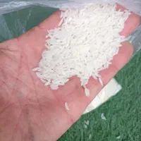 برنج هاشمی درجه یک