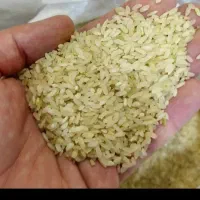 برنج