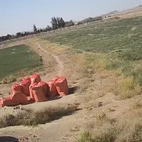 کاه علف