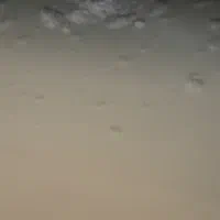 لبنیات جهت همکاری با موکب ها و لبنیاتی ها وهایپرها