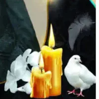 مداح  مراسمات ، مجری‌ گری ، قاری  دعای کمیل ، دشتی