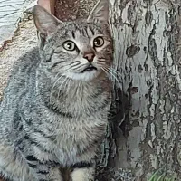 آموزش خصوصی رانندگی فقط بانوان محترمه