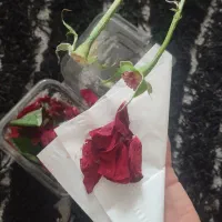 گل طبیعی