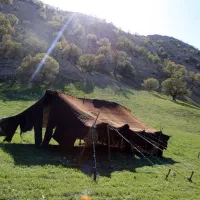 سیاه چادر