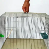 قفس پرنده