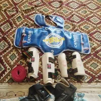 لباس مبارز در حد