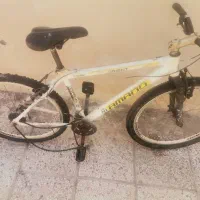 دوچرخه سایز 26 سرخس