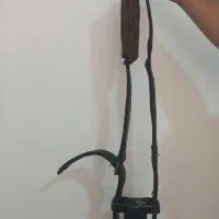 کمربند علم کشی