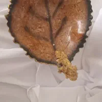 شکلات خوری