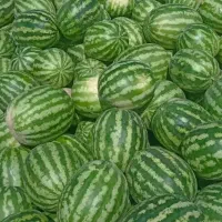 هندوانه