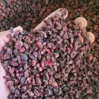 زرشک  قیمت مناسب