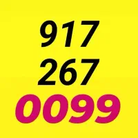 0917-267-00-44