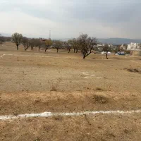 زمین|فروش زمین و ملک کلنگی|تویسرکان, |دیوار