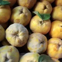 به شیرین و ترش