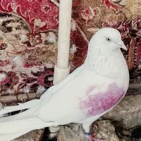 گمشده