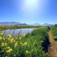 باغ-جاده-سنندج-سه-راه-قزانچی