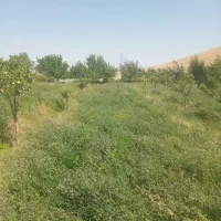 یونجه اطراف تبریز
