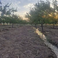 راهنمایی برای کارگر باغ