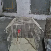 قفس پرنده