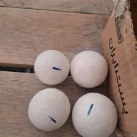 سنگ گرد|مجسمه، تندیس، ماکت|تاکستان, |دیوار