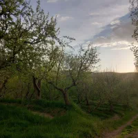 زمین ویلایی در بهترین منطقه باسمنج