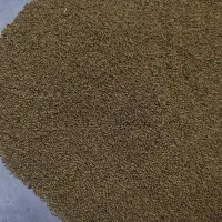بذر یونجه مائوپا