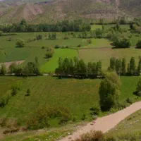 یک قطعه زمین به مساحت ۲۴۰۰ مترمربع بحر جاده