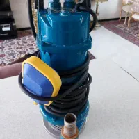 پمپ کفکش نیم اسب Lowan