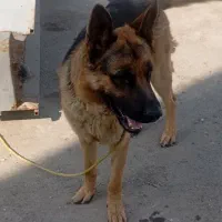 فروش