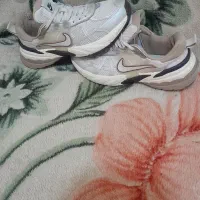 استوک درحد