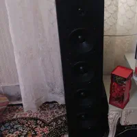 باند بزرگ دوقلو خانگی
