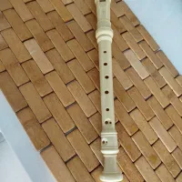 فلوت سالم و تمیز