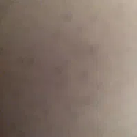 09131871601