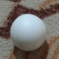 سنگ آسیاب|جواهرات|قروه, |دیوار