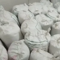 گندم دیم