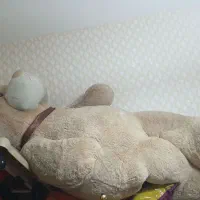 خرس عروسکی بزرگ سایز درحدنو