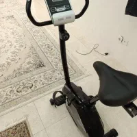دوچرخه ثابت