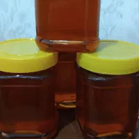 عسل|خوردنی و آشامیدنی|دوگنبدان, |دیوار