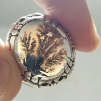 انگشترشجرمنظره