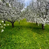 باغ ویلا در زین اباد مزرعه