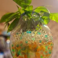 خاک ژله ای